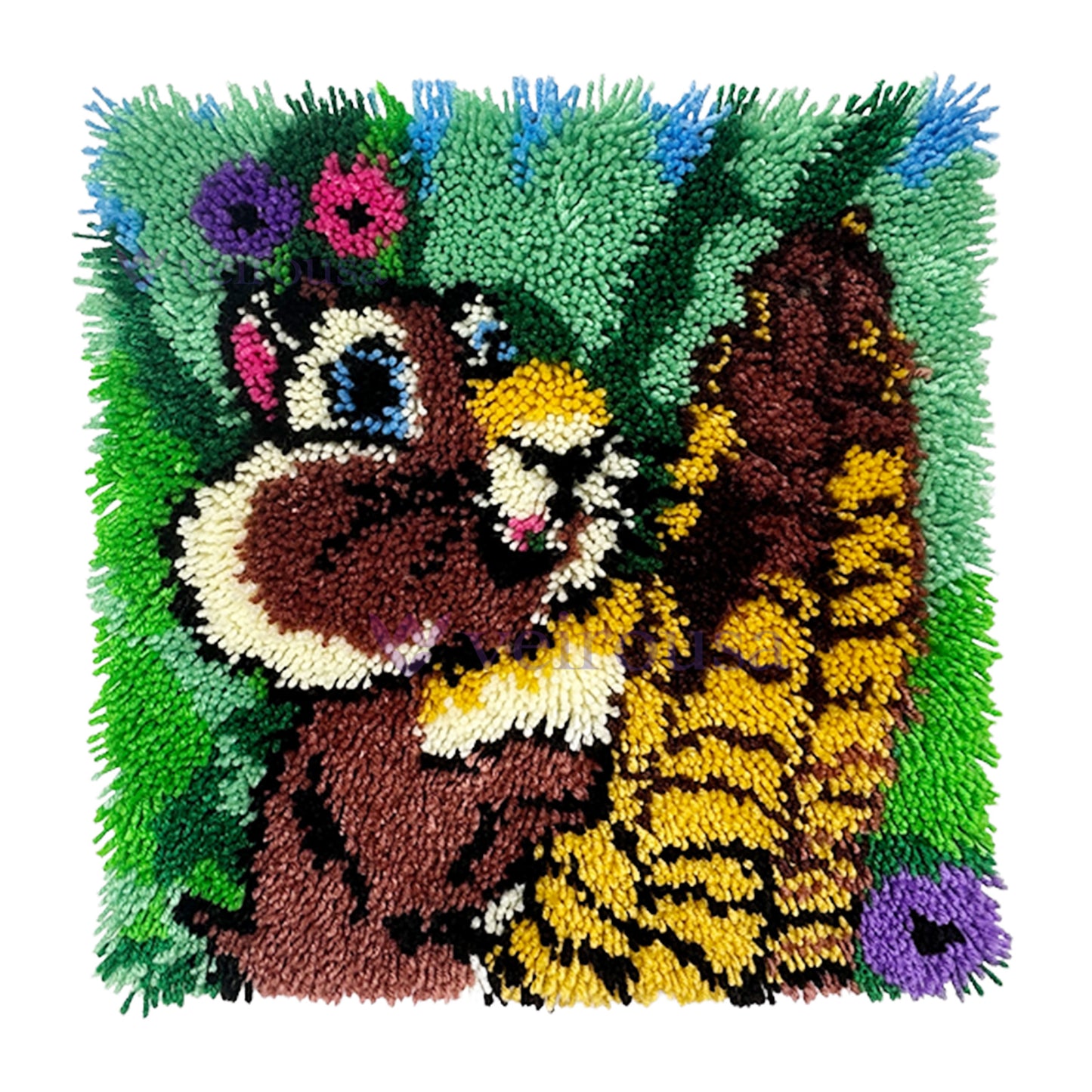 Squirrel Eating A Pine Cone Latch Hook Pillow Kit for Adult, Beginner and Kid