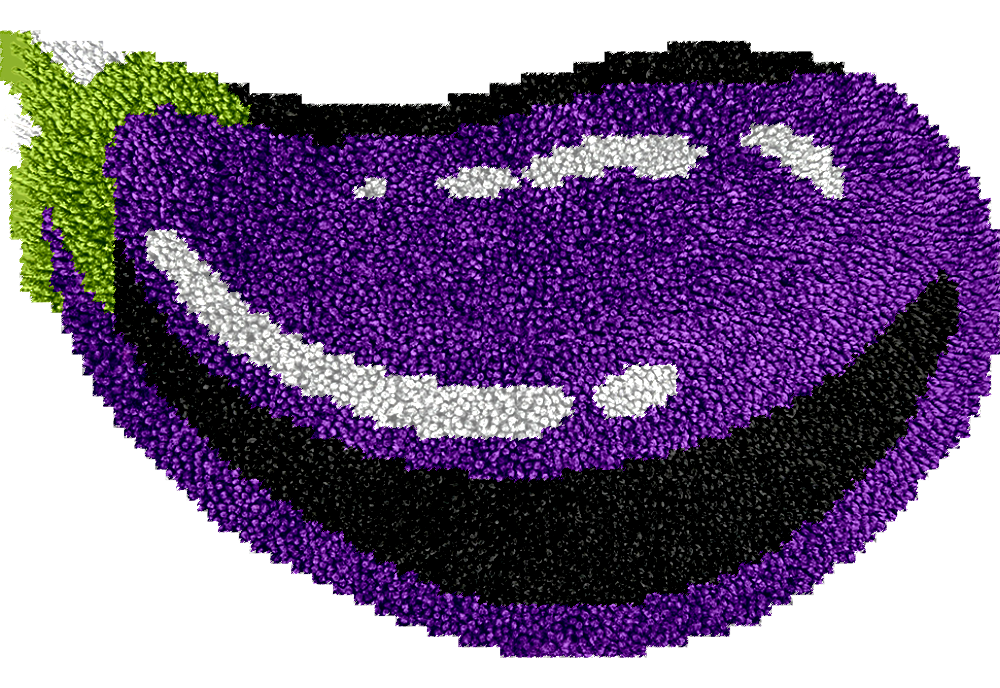 Eggplant Latch Hook Rug Kit