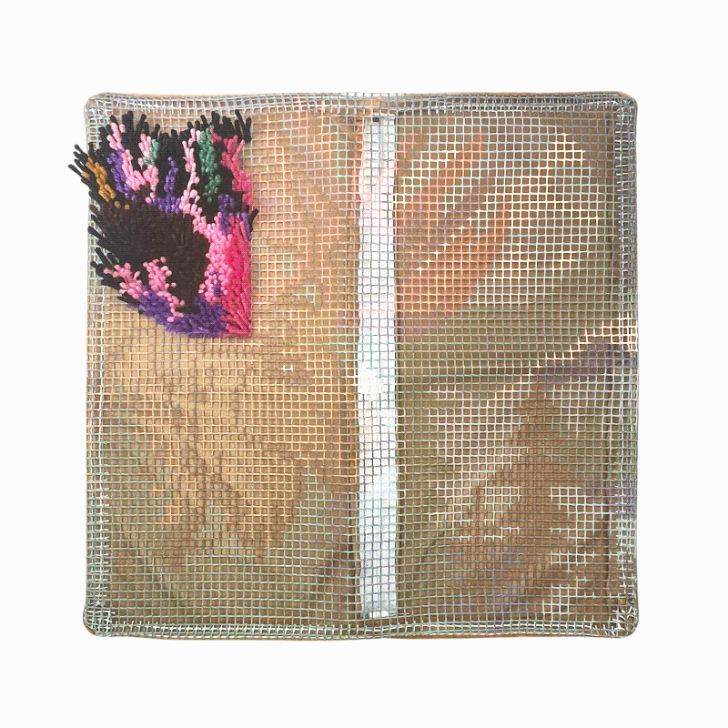 VEIROUSA Animals Latch Hook Pillow Kit for Adults, Beginners and Kids